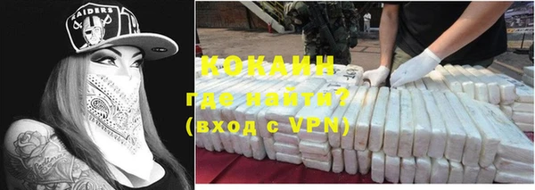 сатива Гусиноозёрск