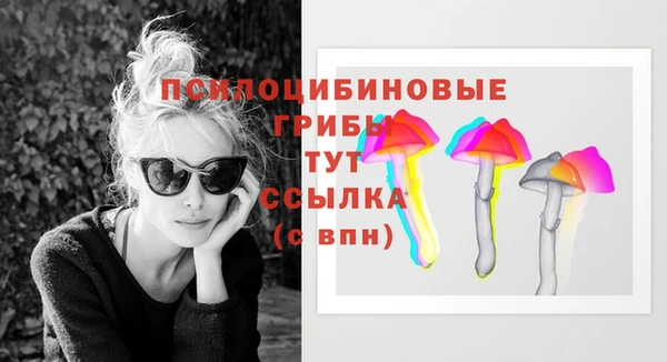сатива Гусиноозёрск