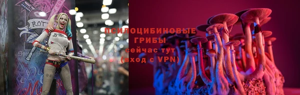 сатива Гусиноозёрск