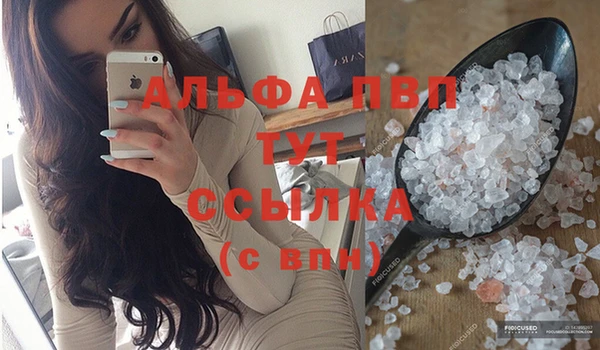 сатива Гусиноозёрск