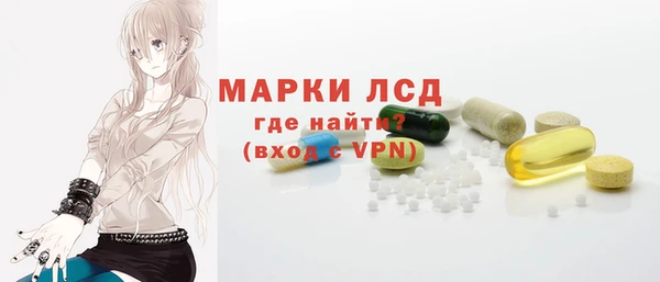 сатива Гусиноозёрск
