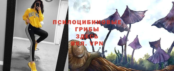 прущий лед Корсаков