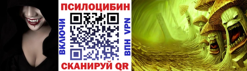 Псилоцибиновые грибы Psilocybine cubensis  сколько стоит  Ульяновск 